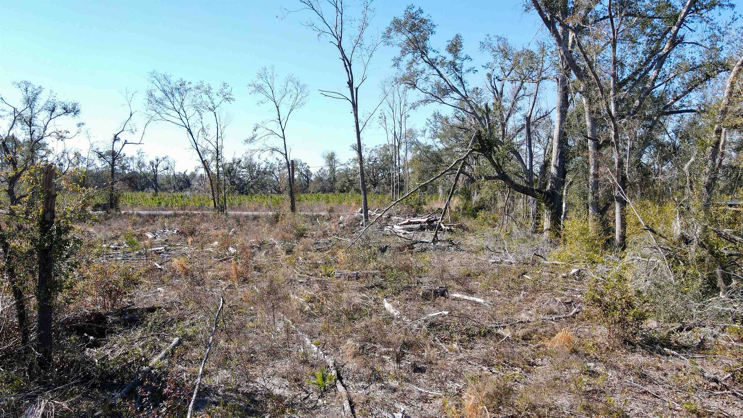 Perry, FL 32348,000 Pine Bluff Road
