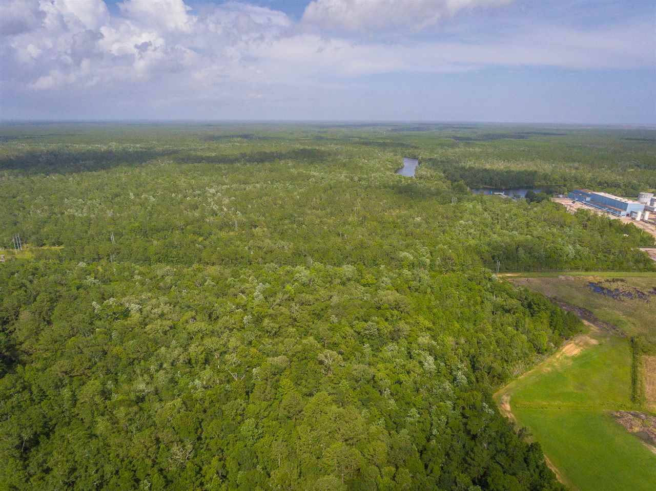 St Marks, FL 32355,73 Hope Lane #-
