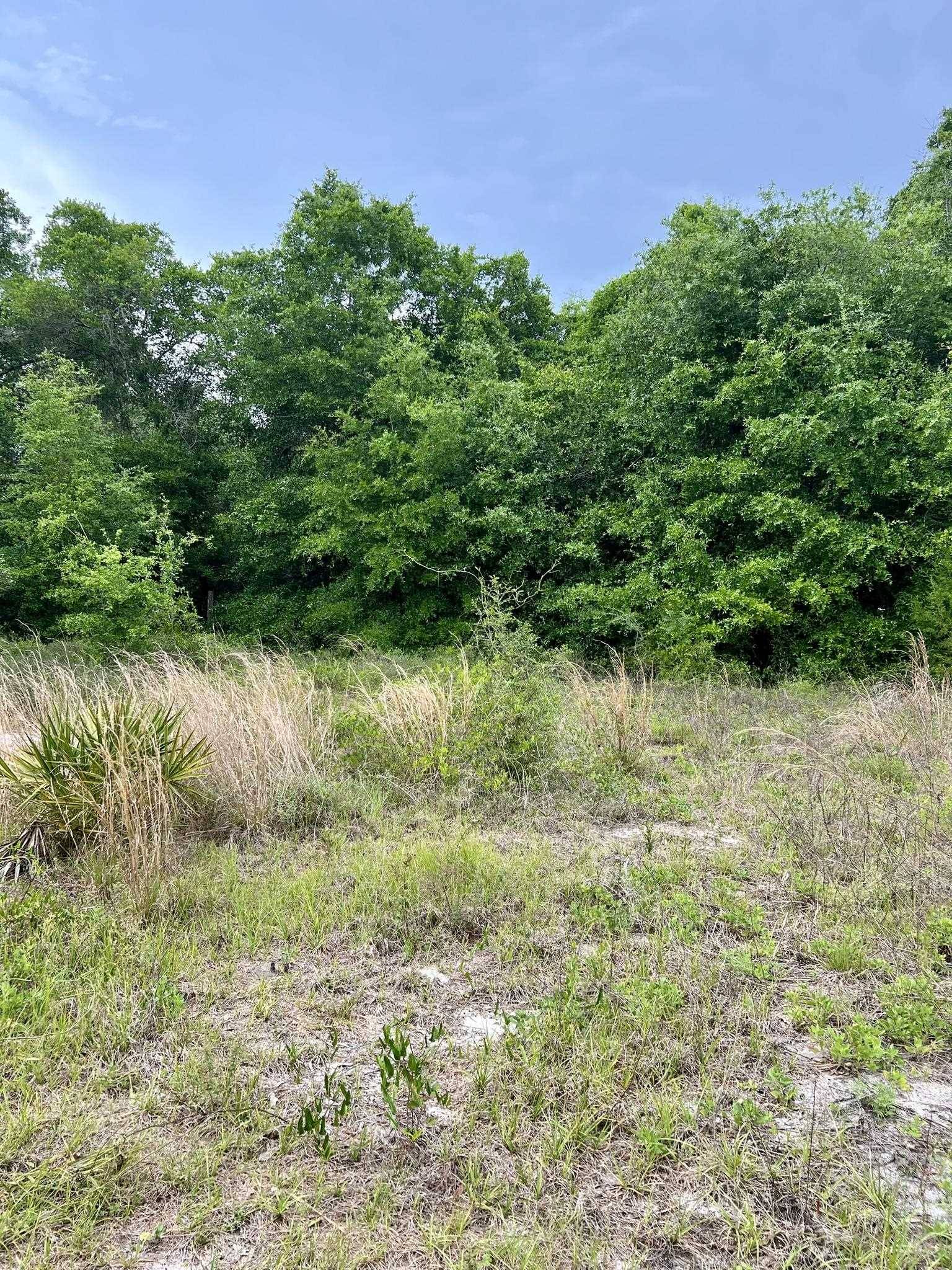 Lanark Village, FL 32323,2523 Palmetto Terrace