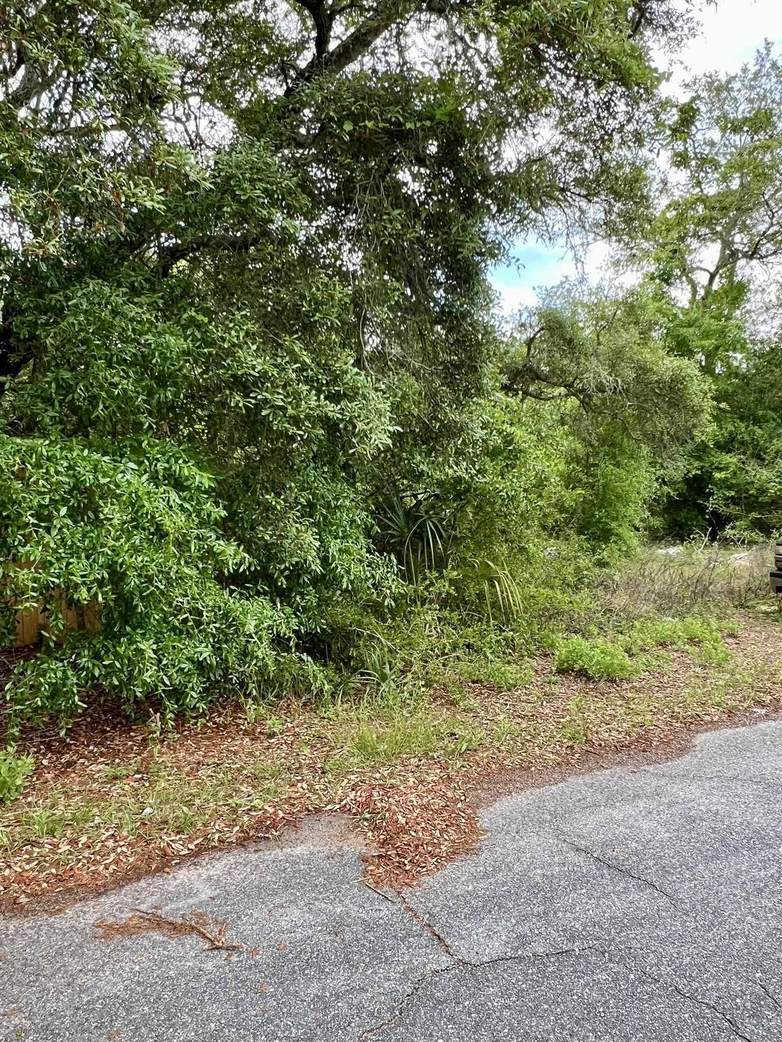 Lanark Village, FL 32323,2519 Palmetto Terrace