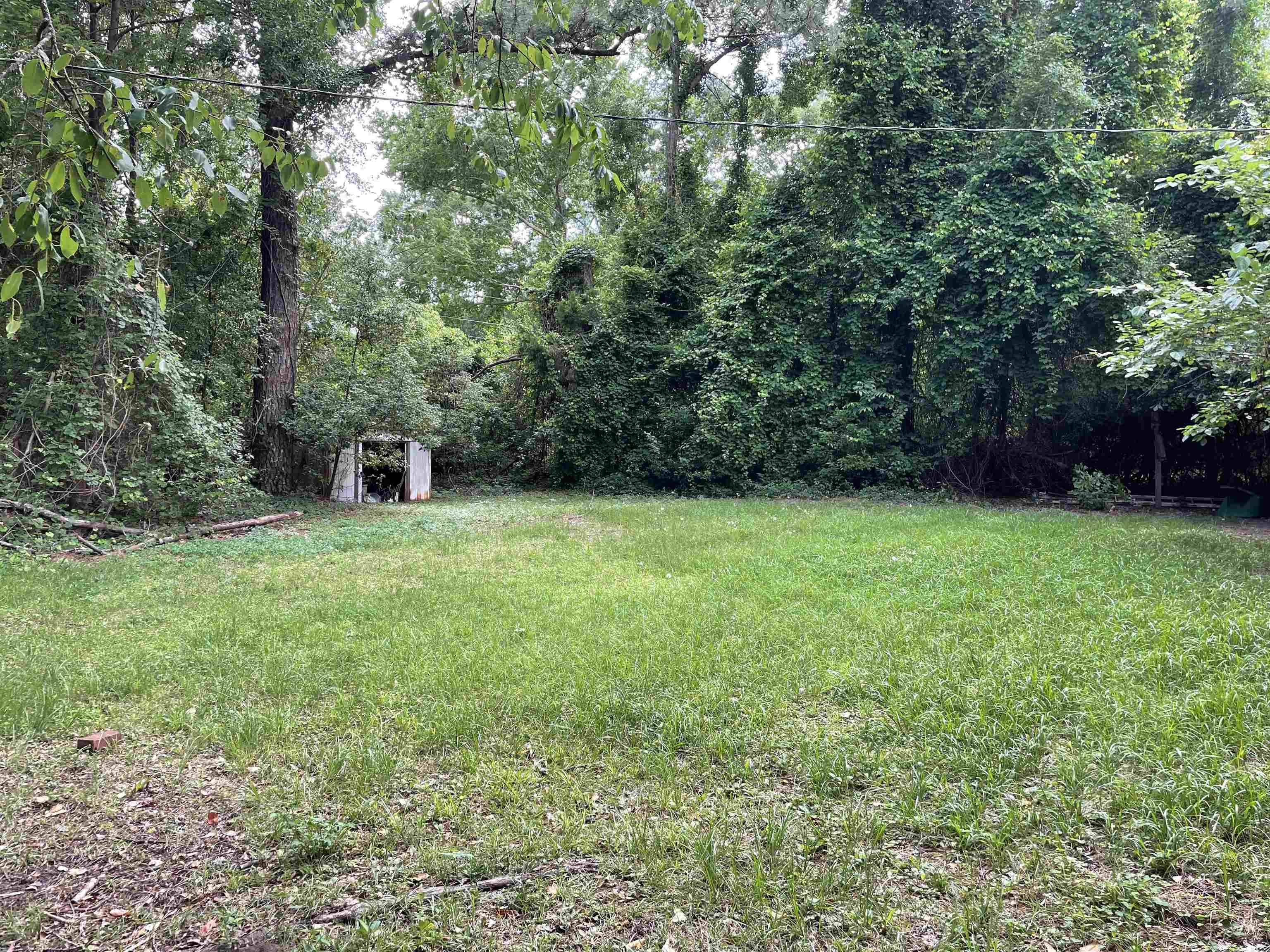 Monticello, FL 32344,425 Carolina Street