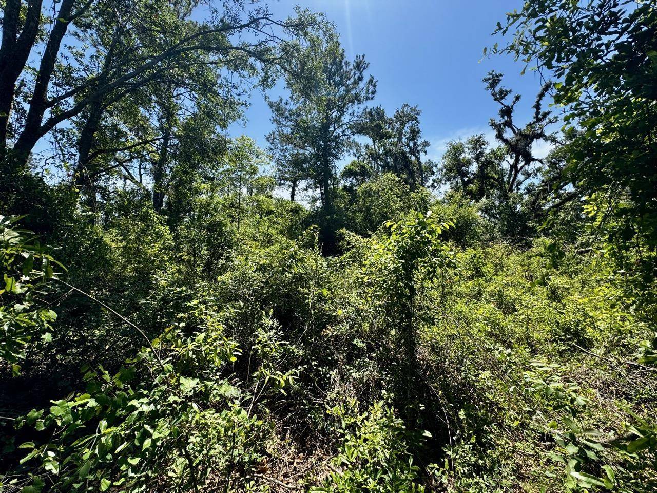 Madison County, FL 32340,Vacant SW SR 14