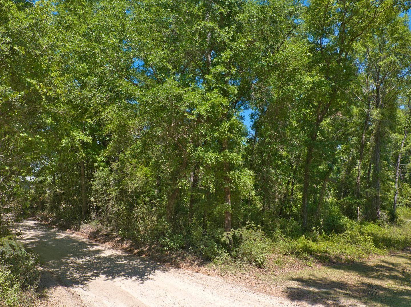 Crawfordville, FL 32327,0 Donaldson Williams Road