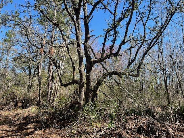 Greenville, FL 32331-0000,TBD SW Open Sands Loop