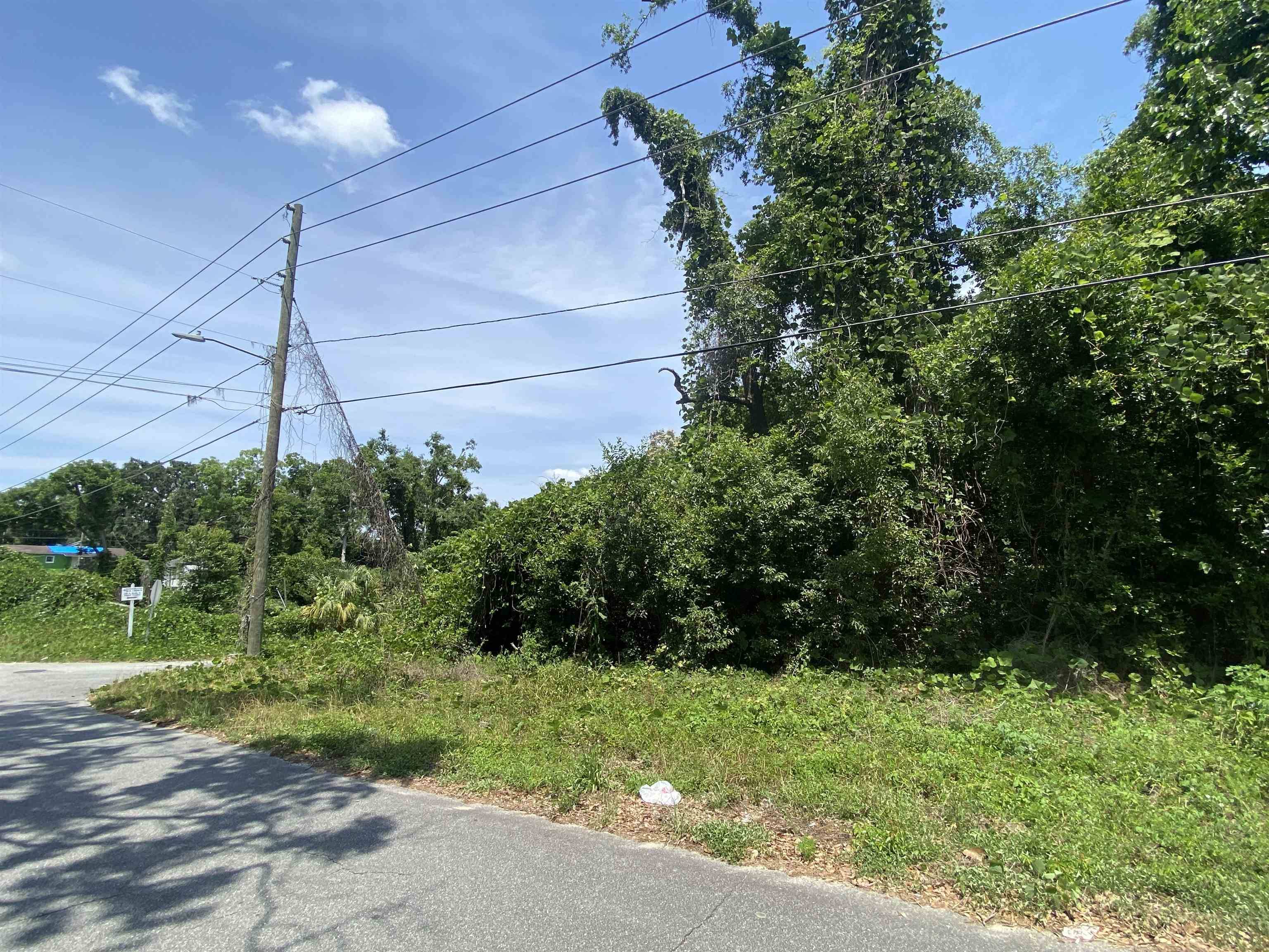 Madison, FL 32340,SE Osgood Avenue