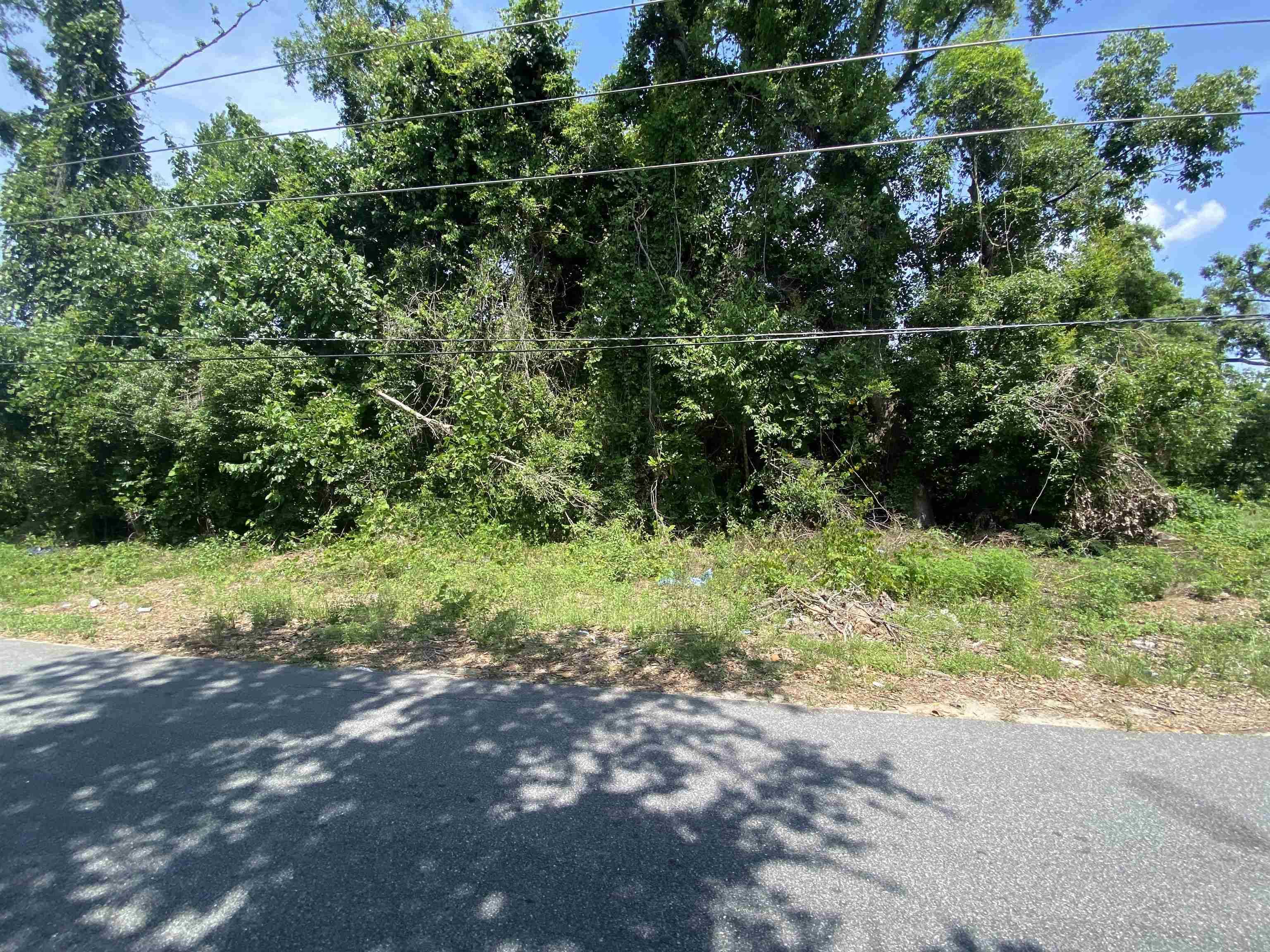 Madison, FL 32340,SE Osgood Avenue