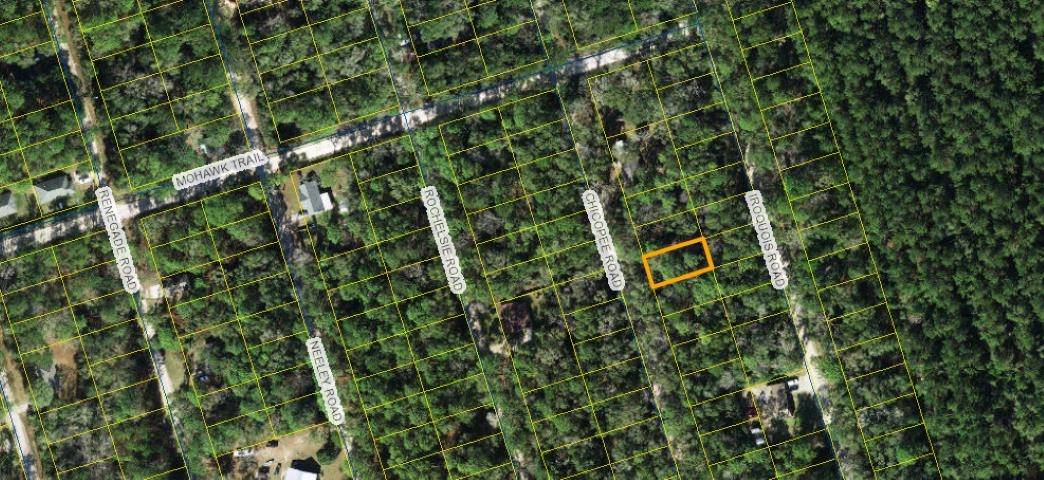 Crawfordville, FL 32327,xx Chicopee Road