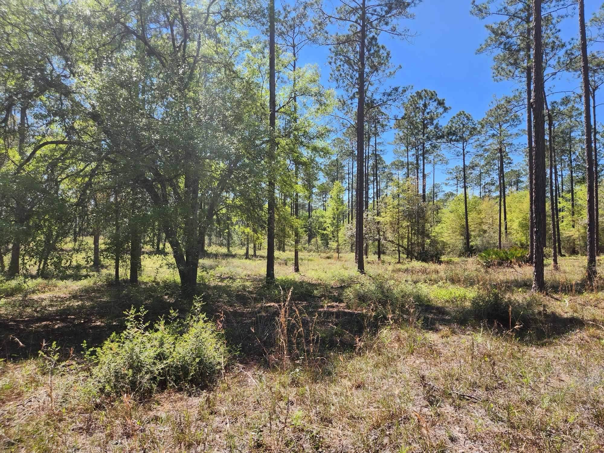 Tallahassee, FL 32305,0 Breakaway Gap Road
