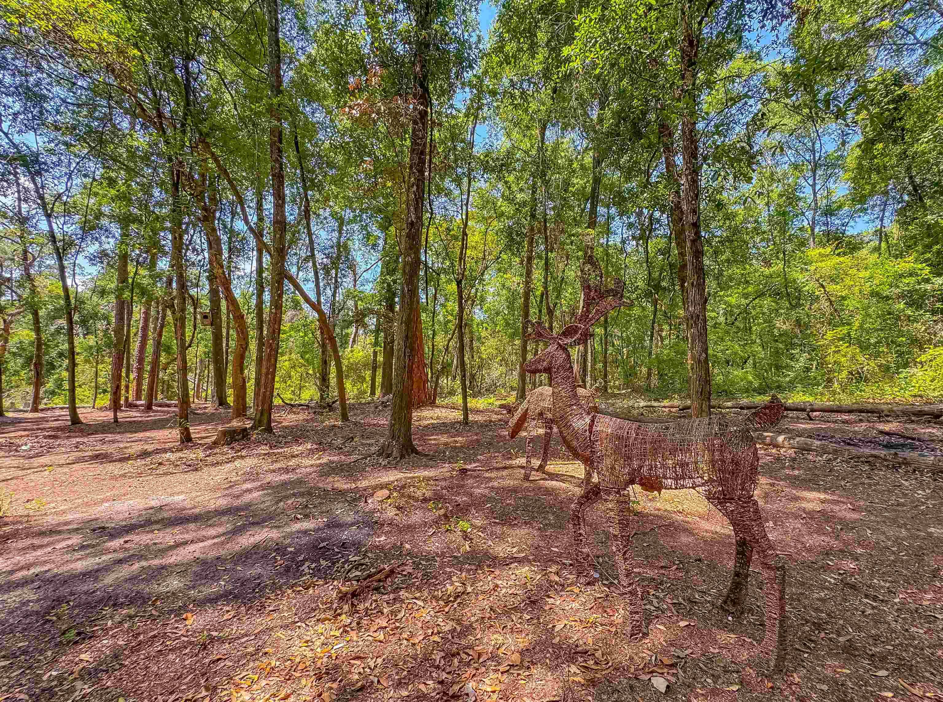 Tallahassee, FL 32310,1836 Chena Drive