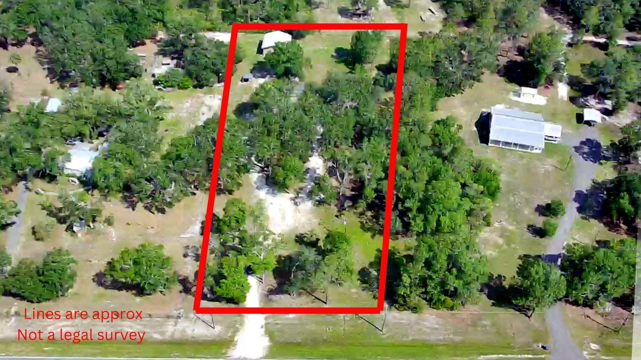 Cross City, FL 32628,2689 NE 351 Highway