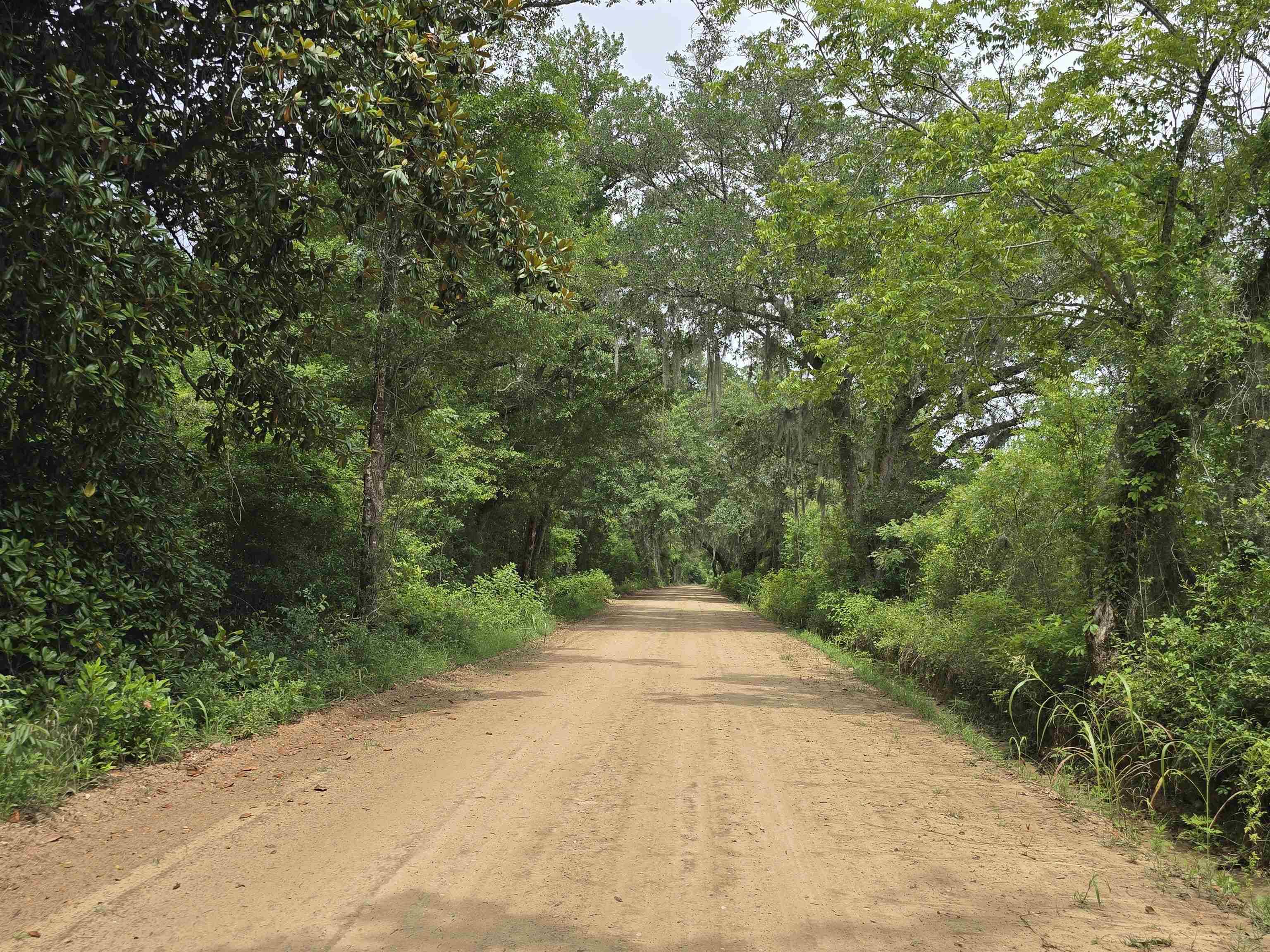 Quincy, FL 32351,602 Garner Road