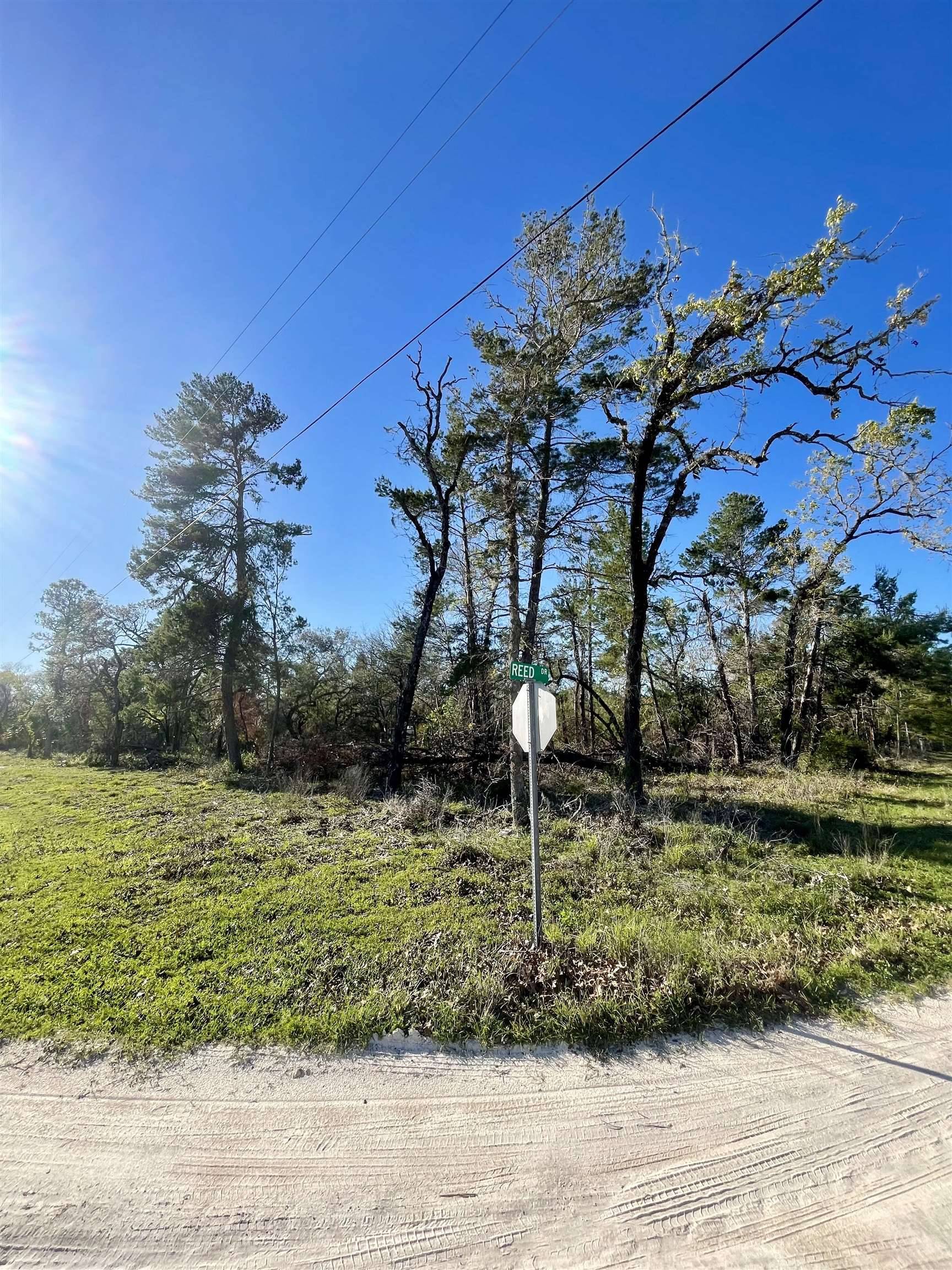 Keaton Beach, FL 32348,00 Reed Drive