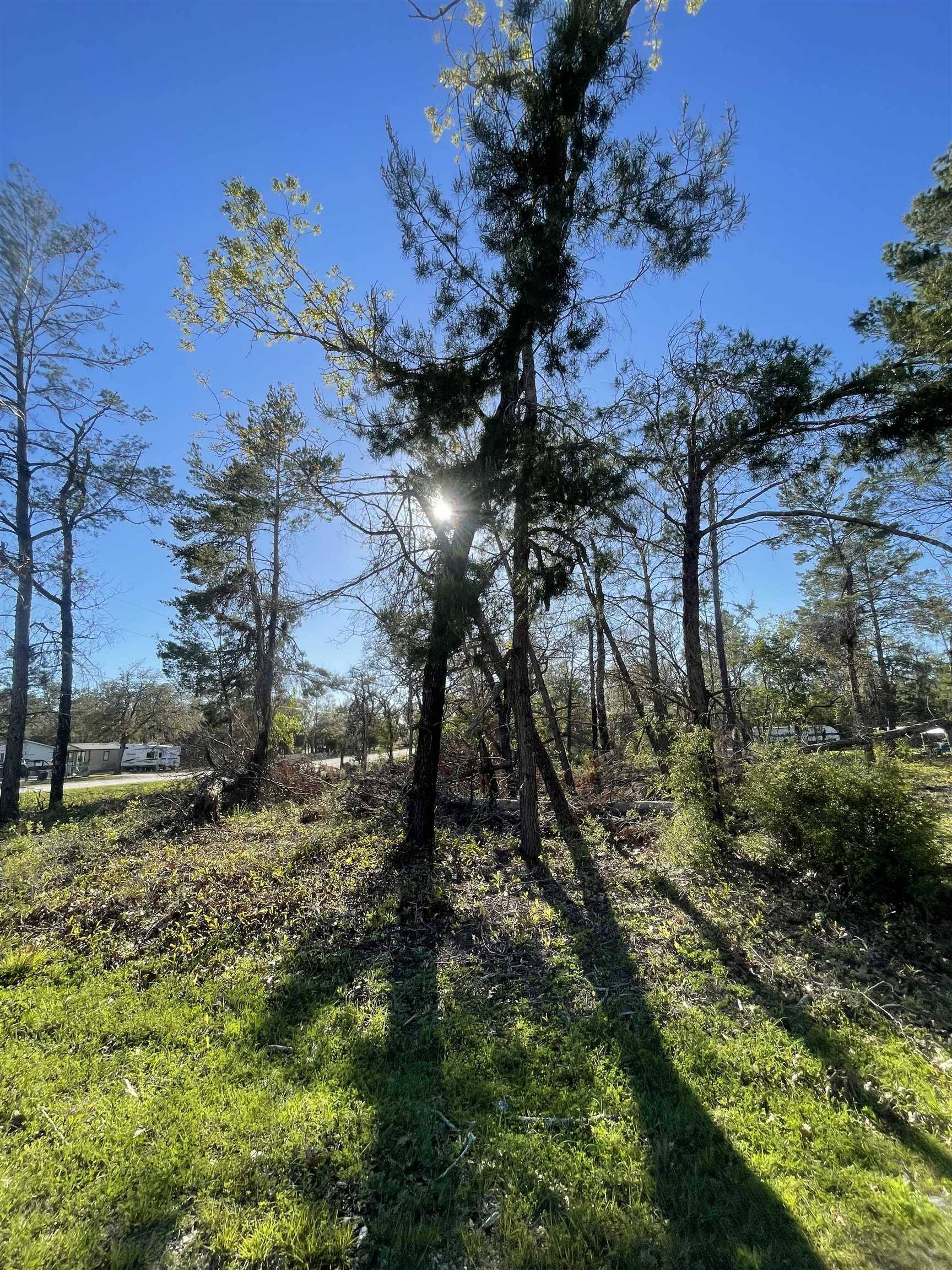 Keaton Beach, FL 32348,00 Reed Drive