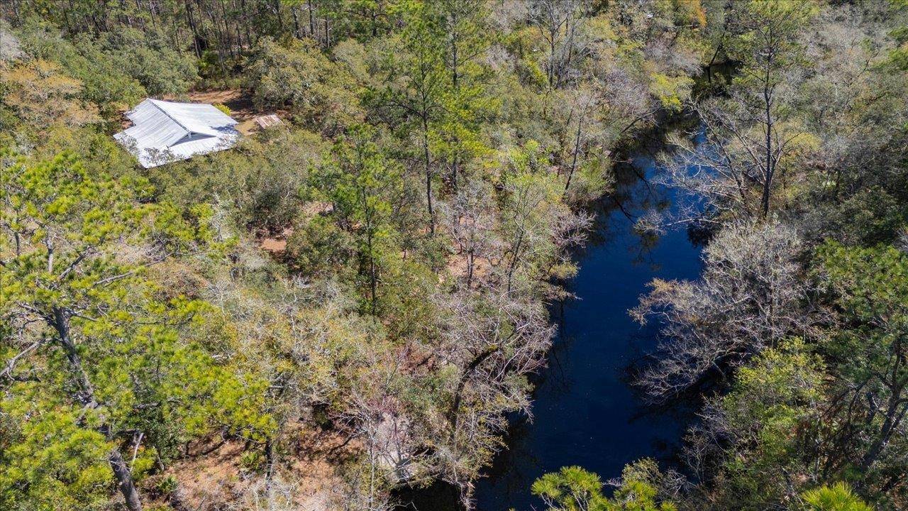 Sopchoppy, FL 32358,30 Lizard Lane