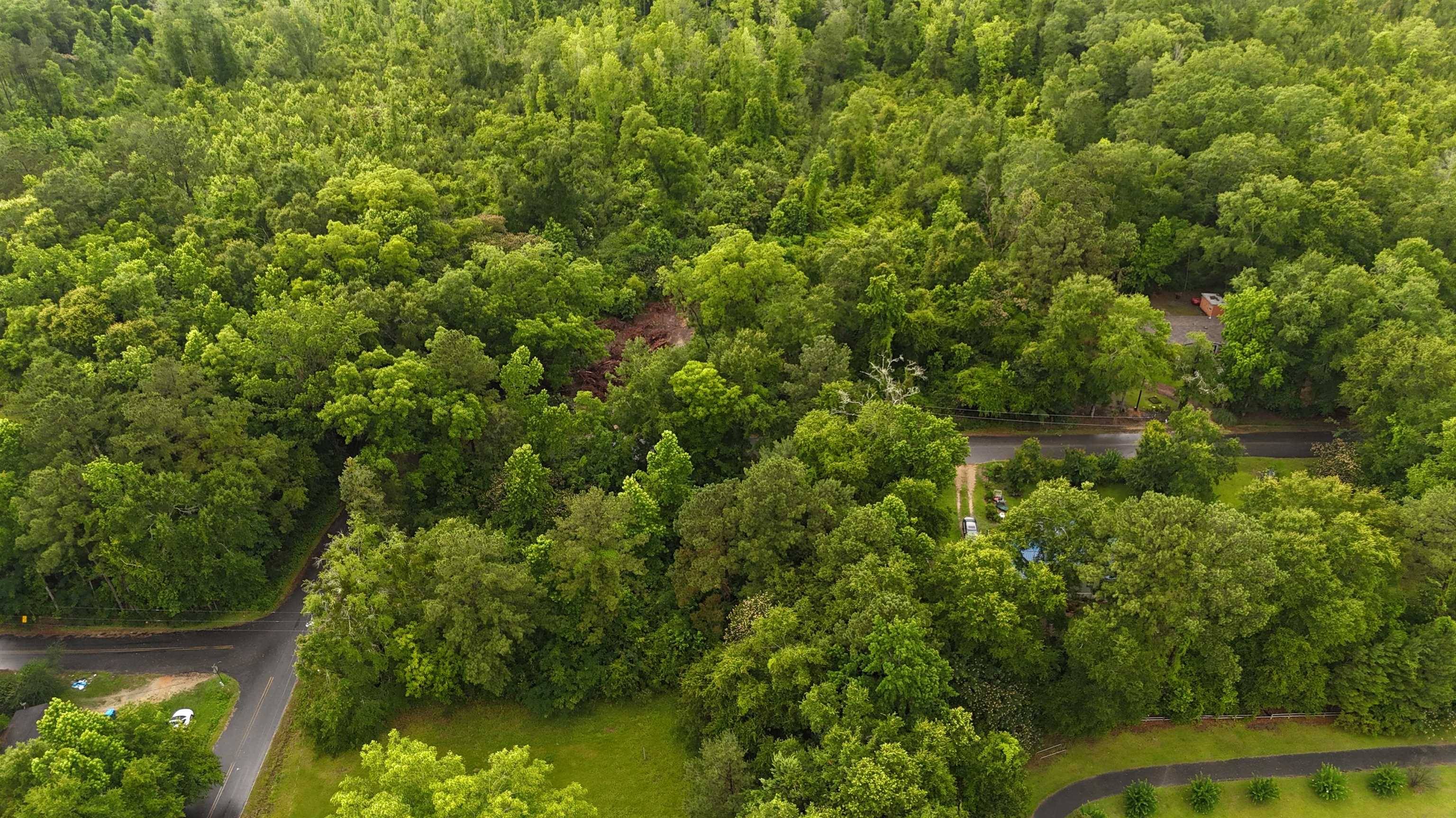 Havana, FL 32333,Vacant Lakeview Drive