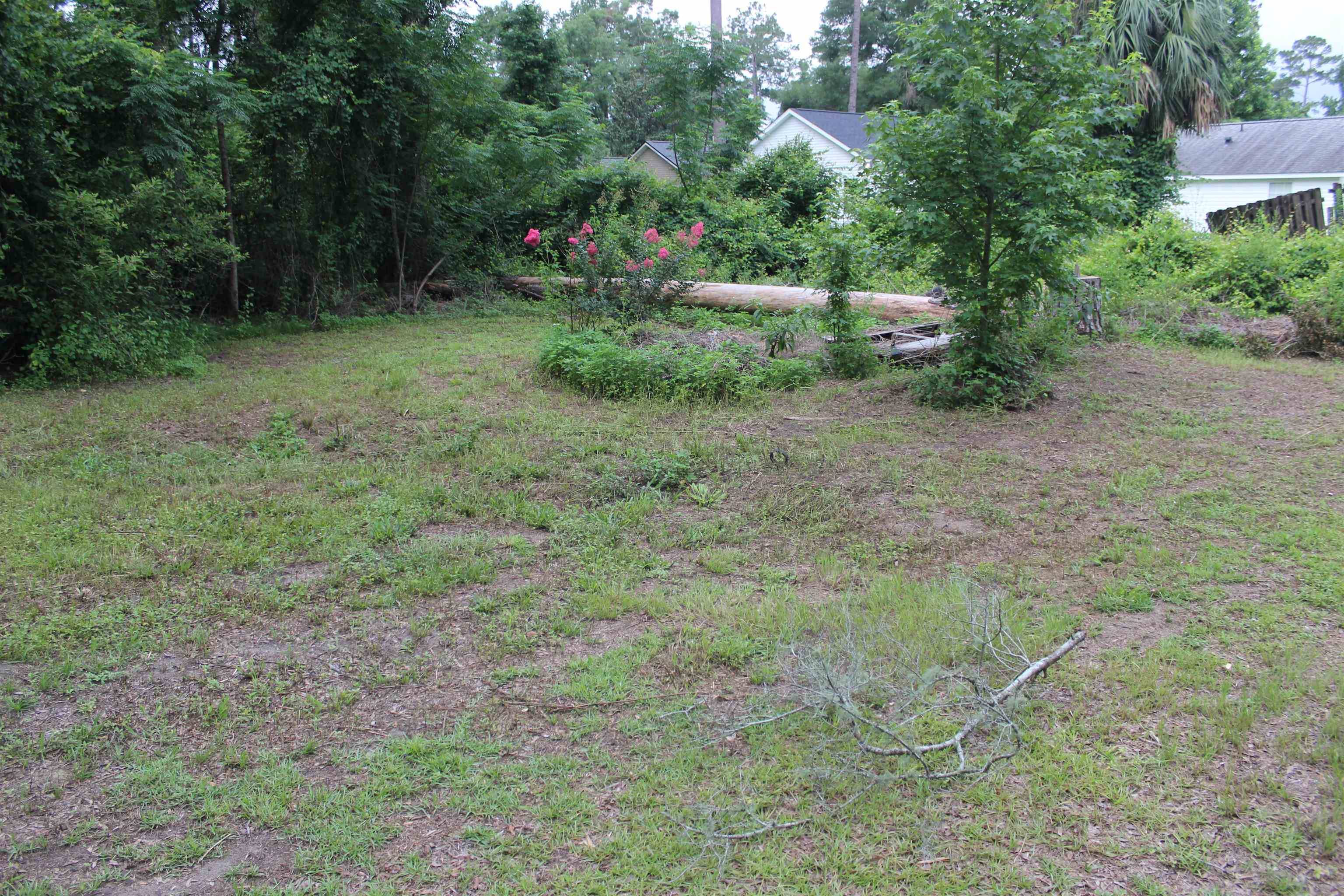 Crawfordville, FL 32327,XX Chippewa
