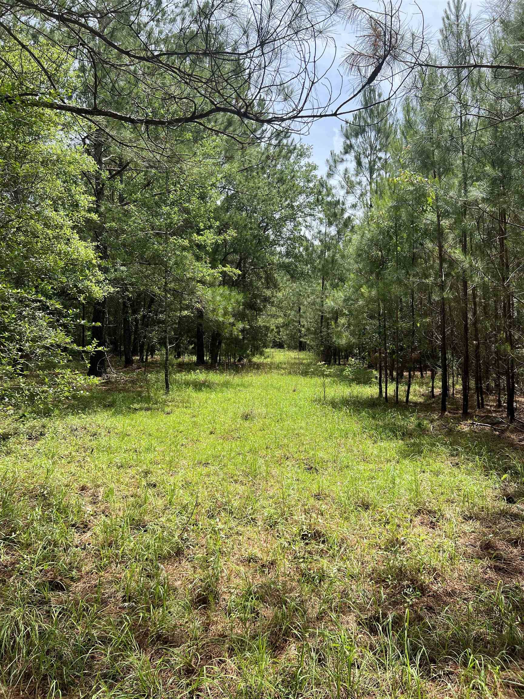 Quincy, FL 32351,XX Orchard Road