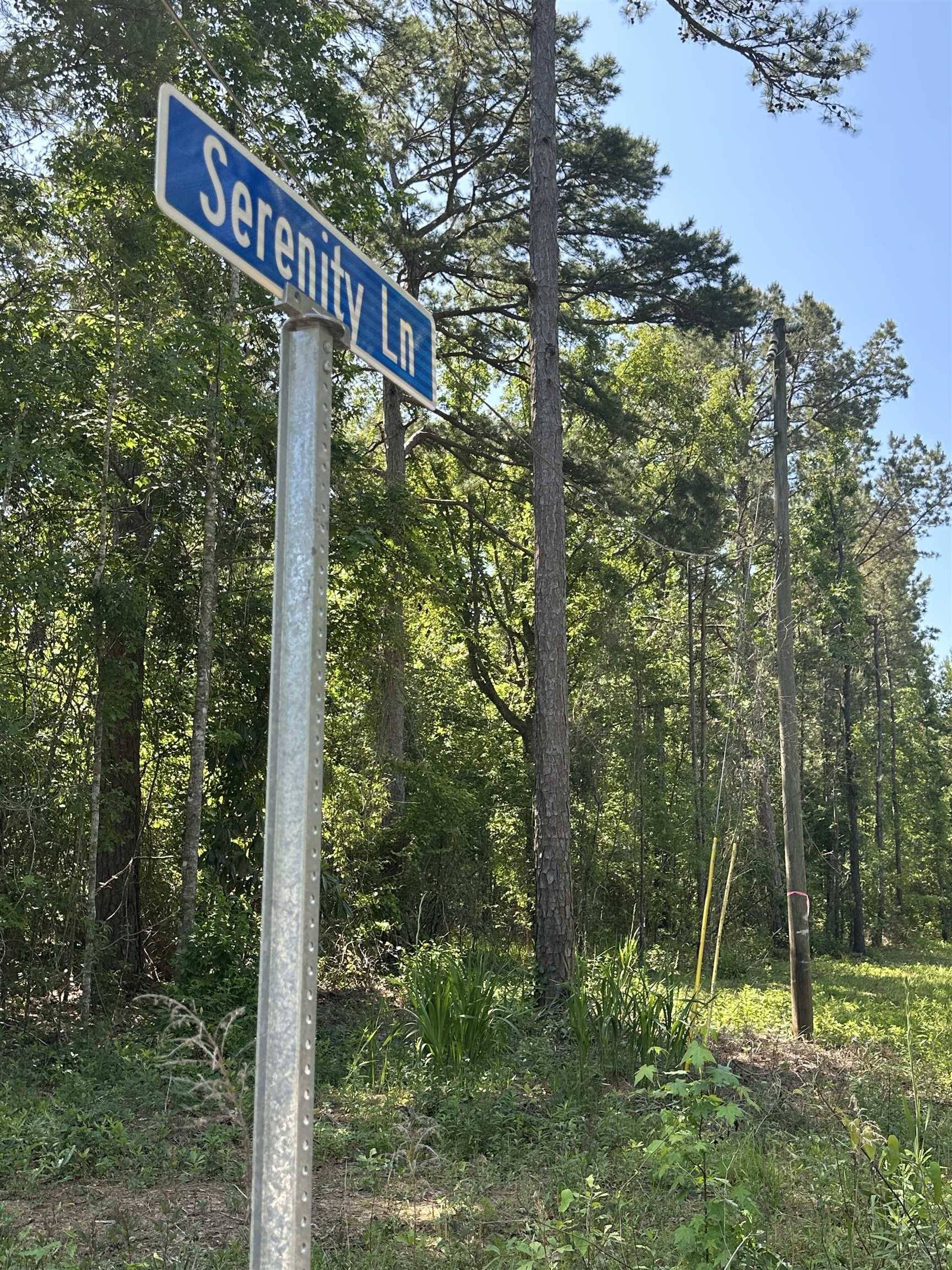 Quincy, FL 32351,xxx Serenity Lane #-