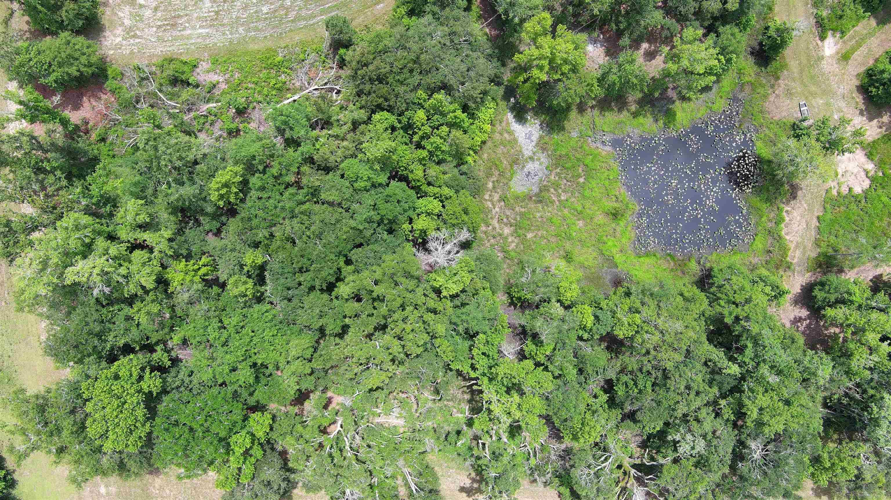 Lamont, FL 32336,983 Mays Road