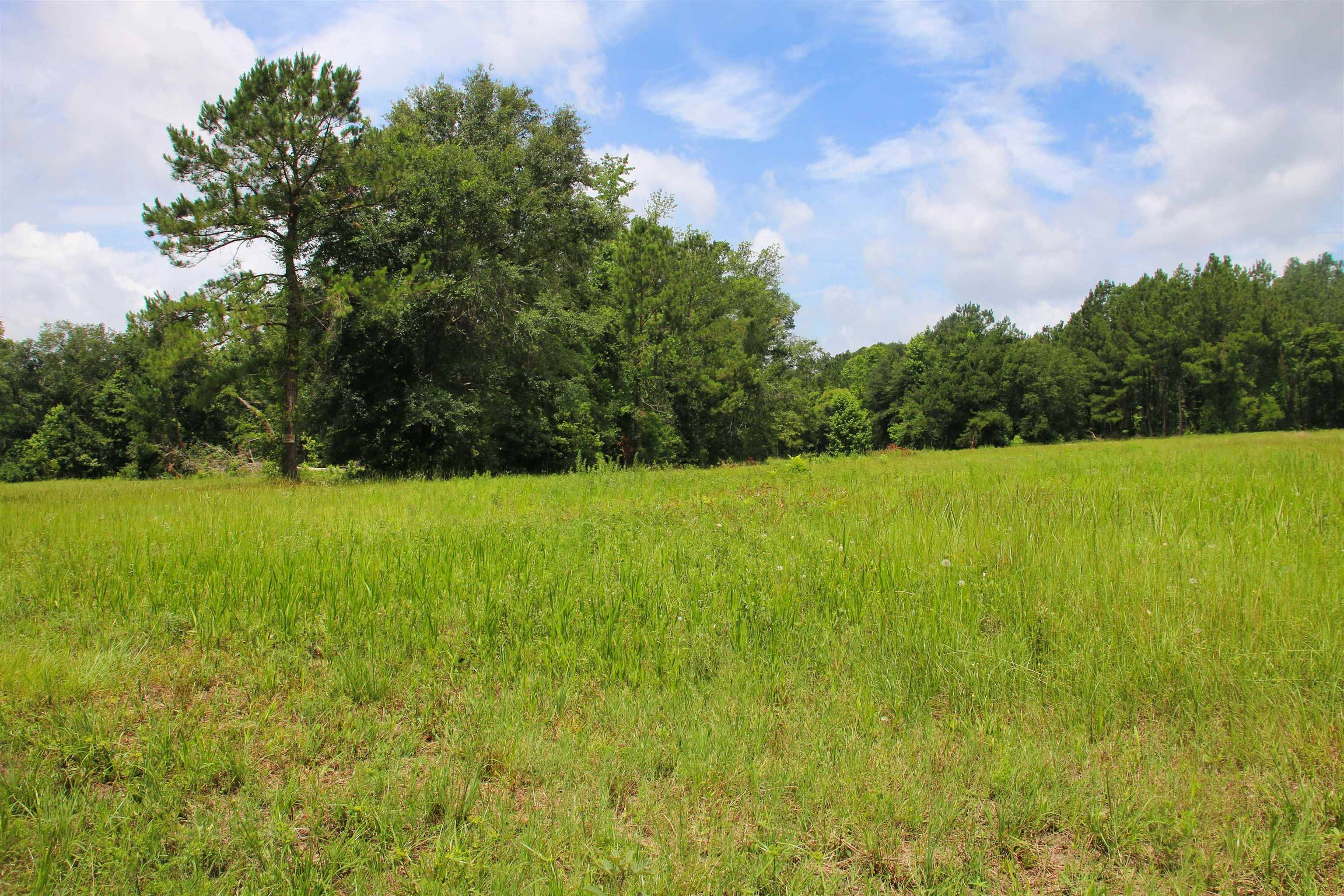 Lamont, FL 32336,983 Mays Road