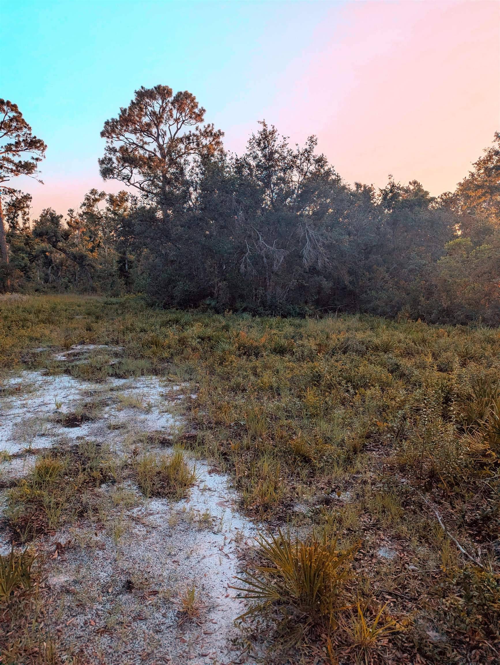 Keaton Beach, FL 32348,16539 W Royal Oak Drive