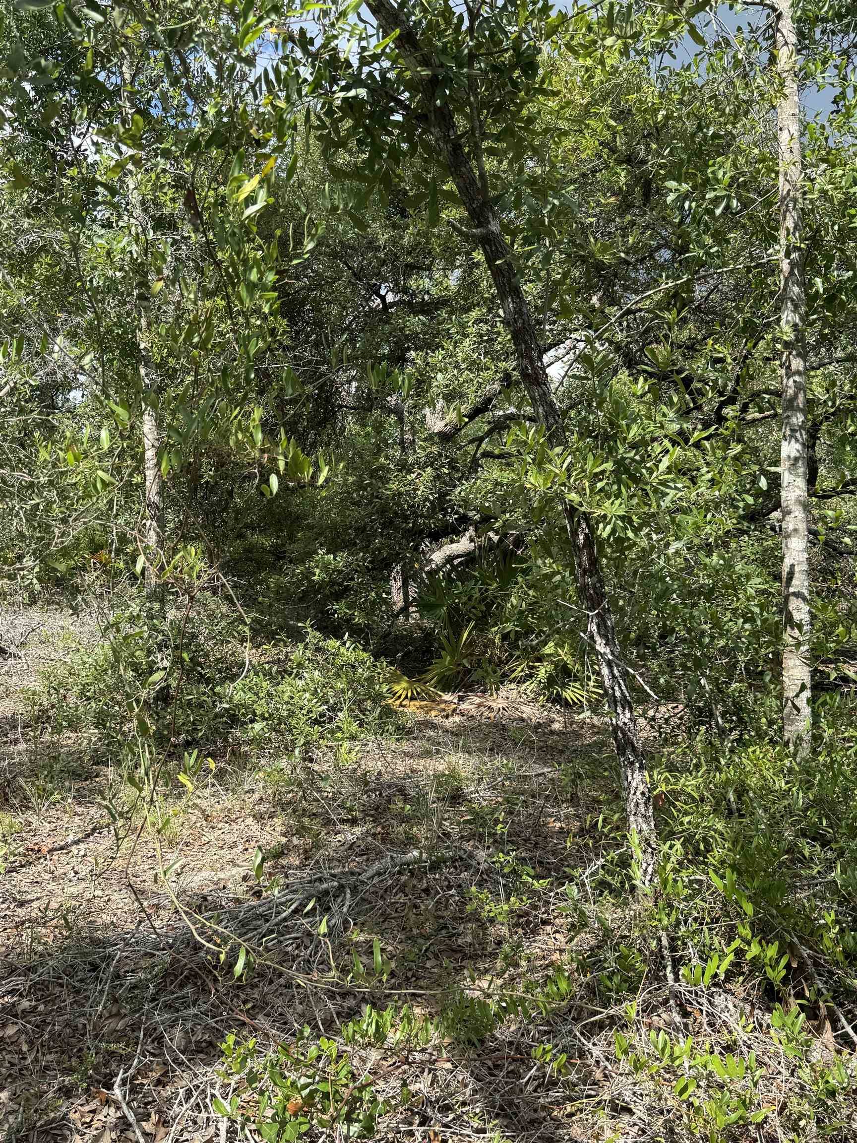 Perry, FL 32348,TBD Breeze Drive