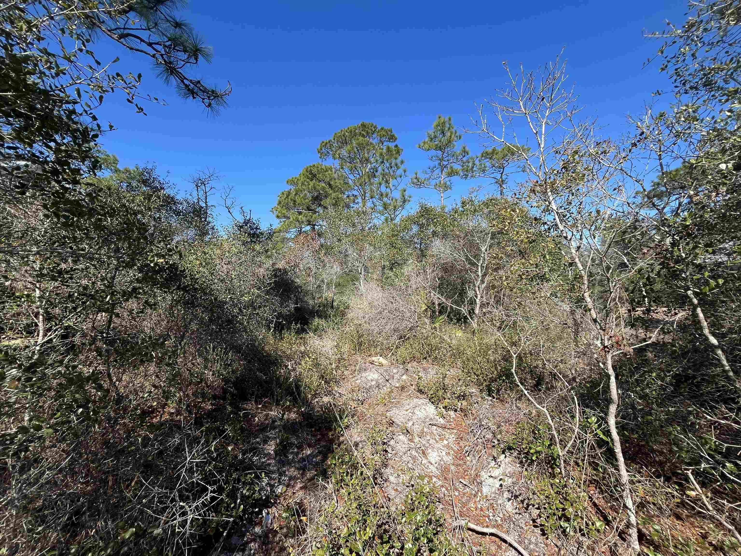 Carrabelle, FL 32322,394 ROYAL TERN Way