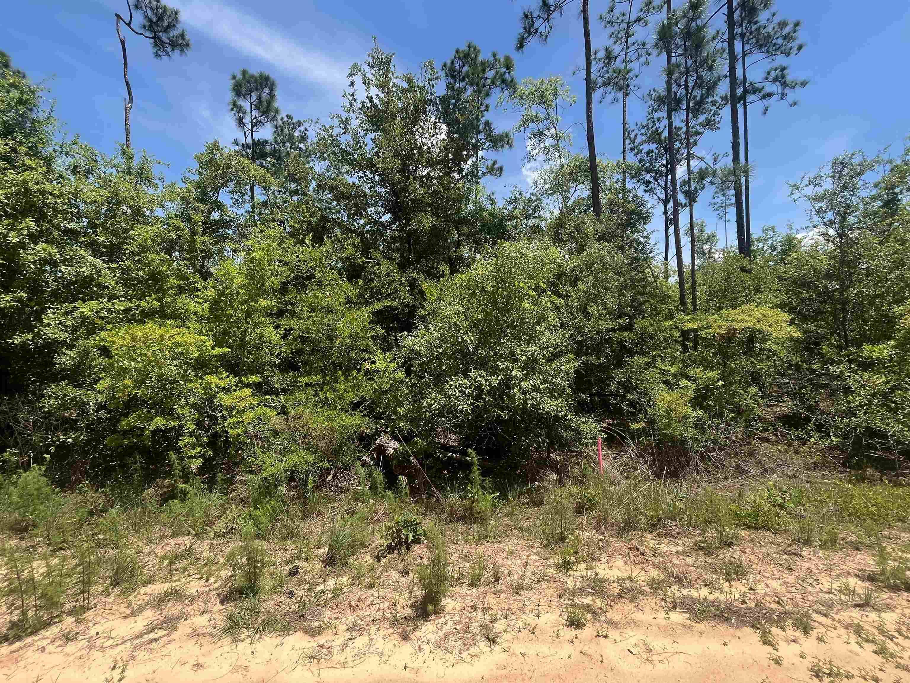 Marianna, FL 32448,TBD Tamarac Road