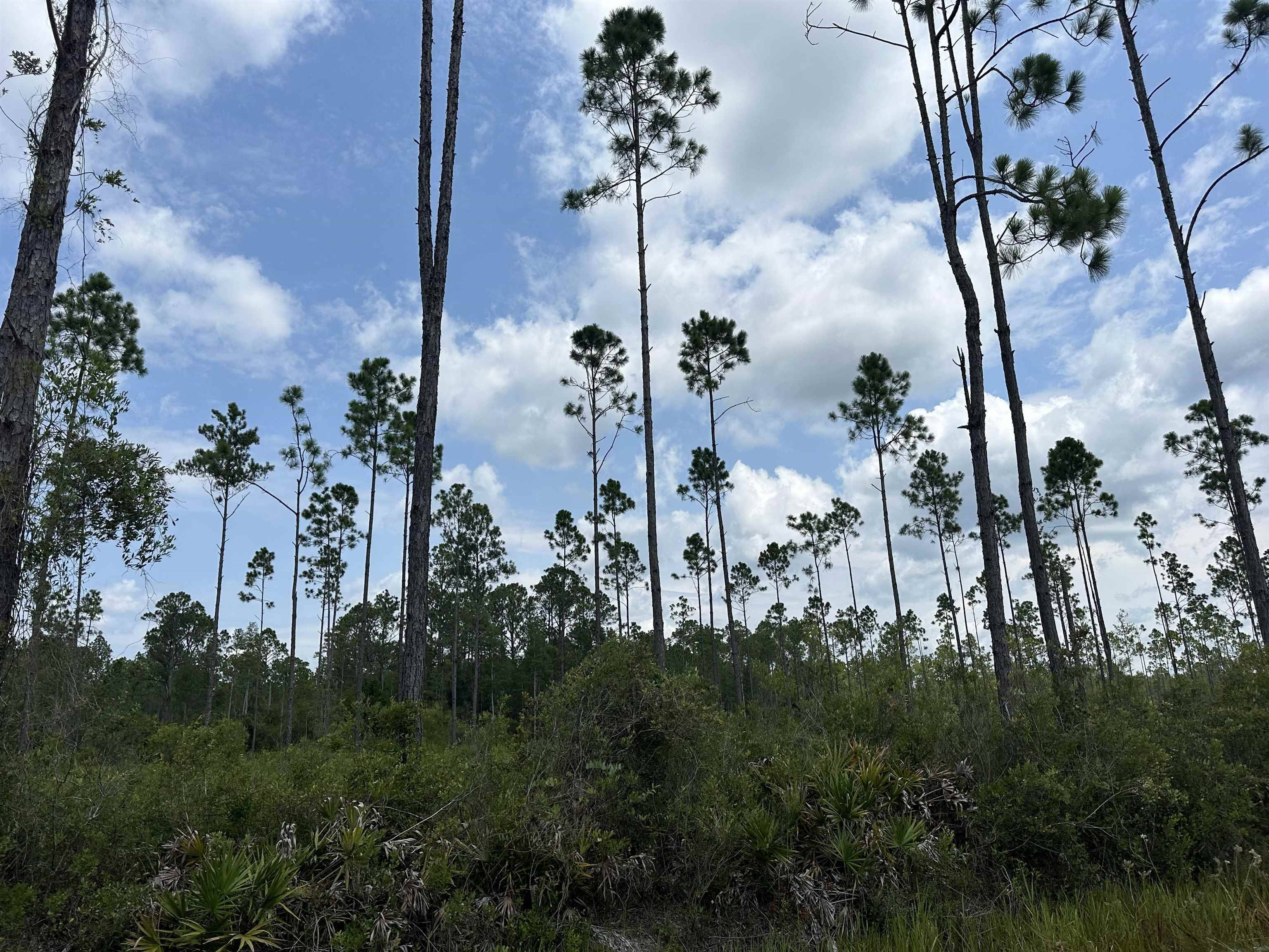 Perry, FL 32348,Tract 90 Circle Block Loop Loop