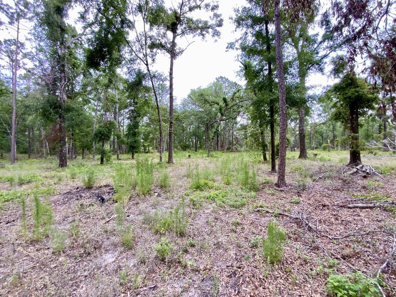 Pinetta (madison County), FL 32350,Vacant NE Bellville Road