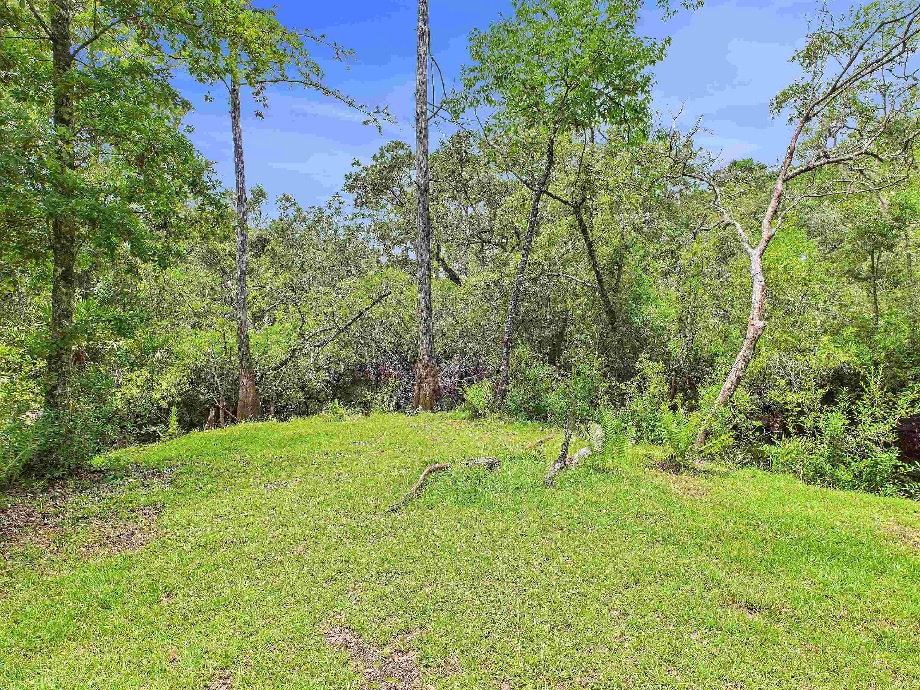 Greenville, FL 32331,6100 Ira L Smith Road