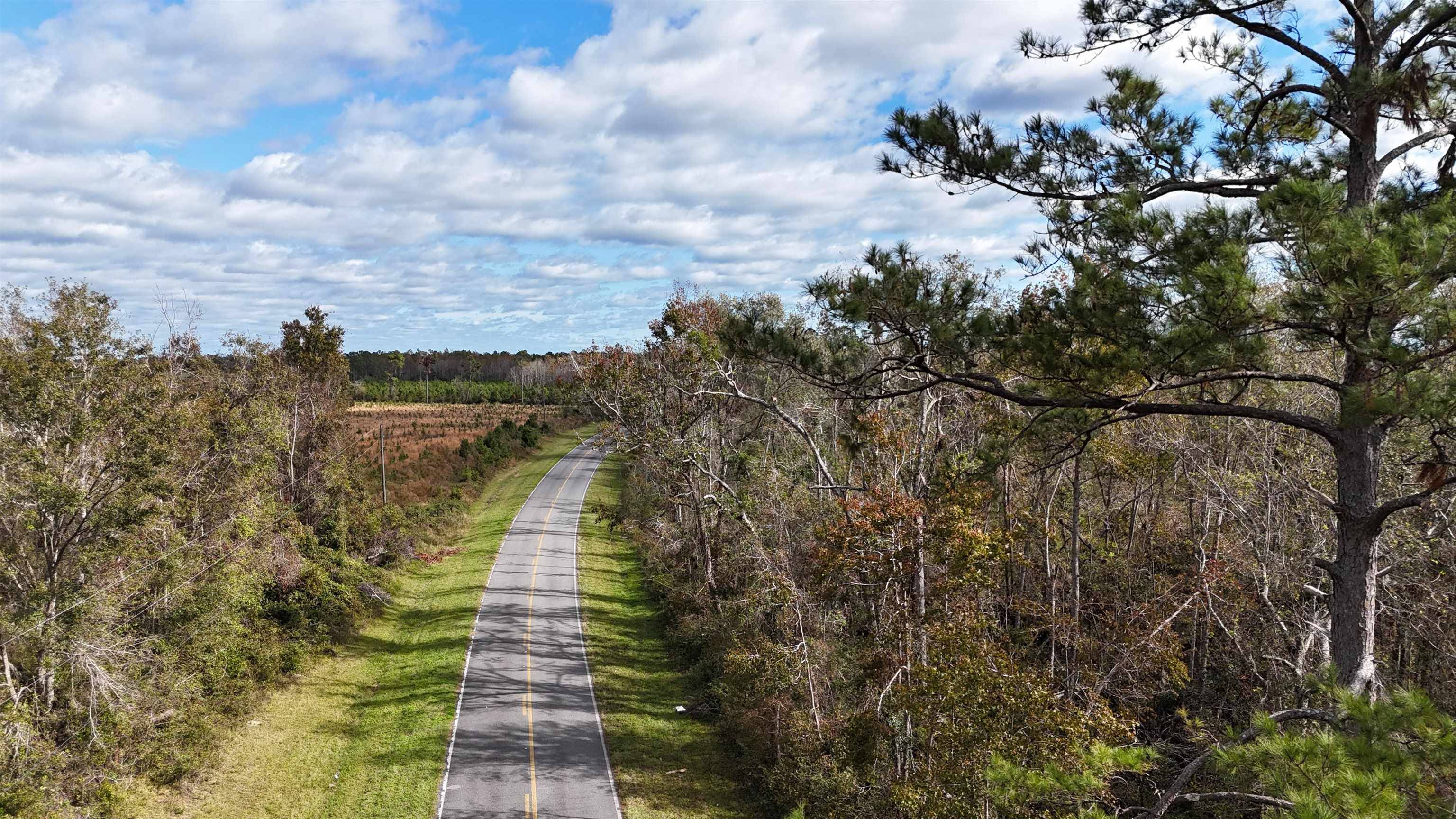 Greenville, FL 32331,Vacant SW Moseley Hall Road