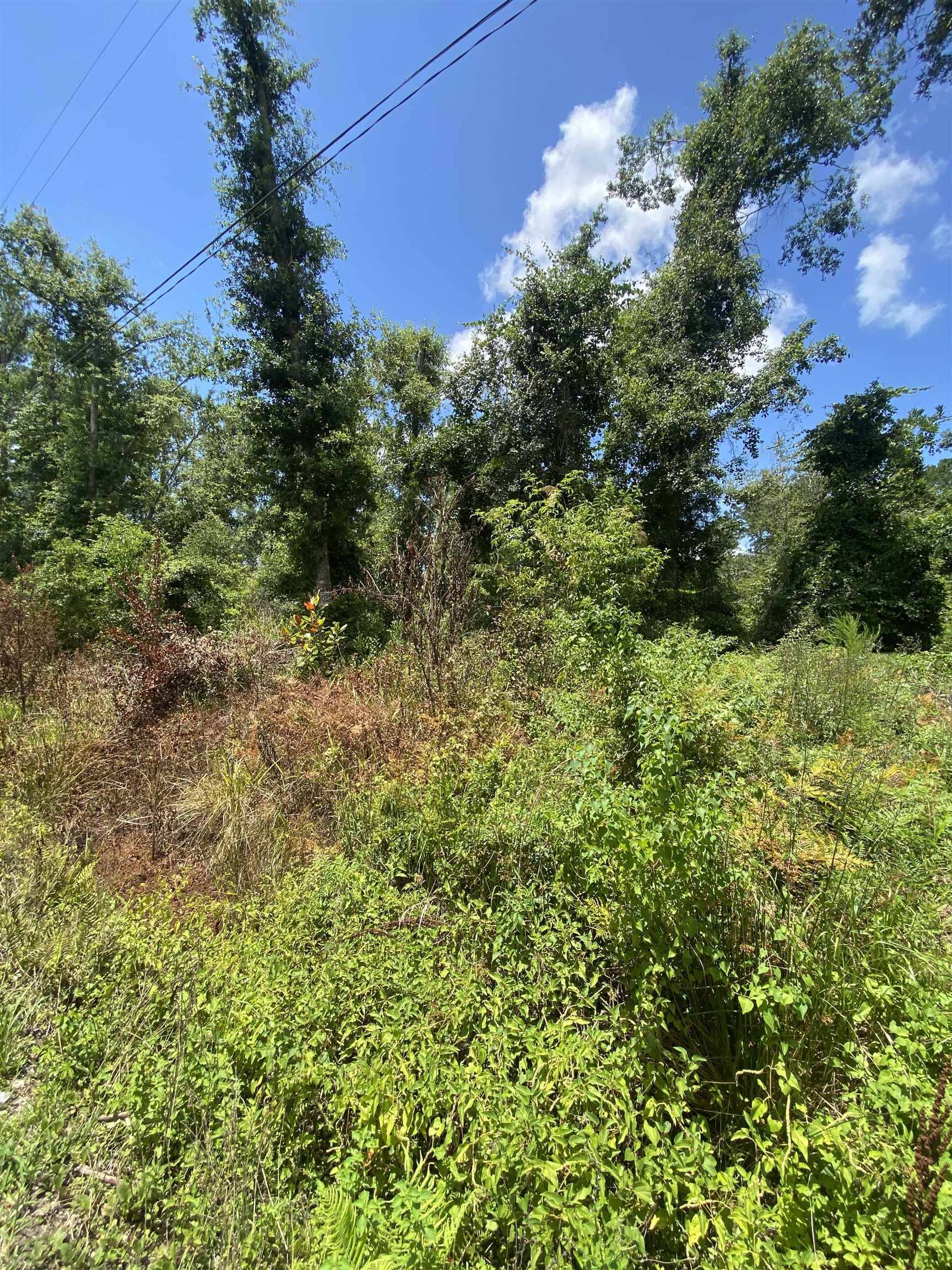Greenville, FL 32331,SW Main Street