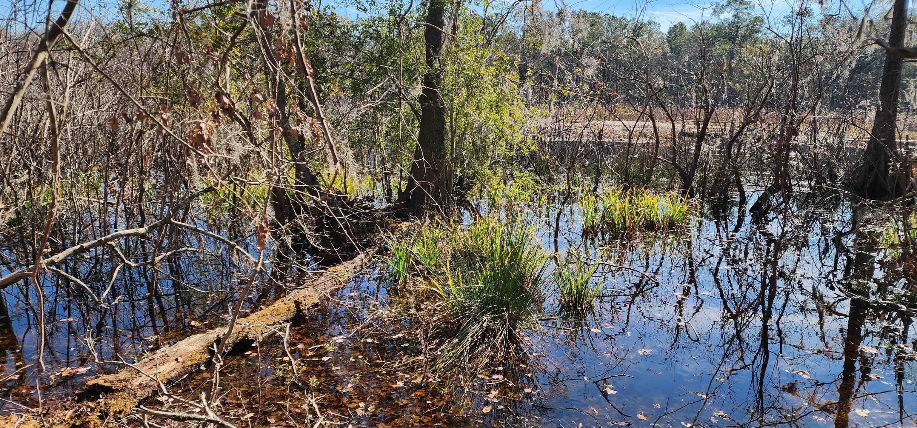Live Oak, FL 32060,0 93rd Drive