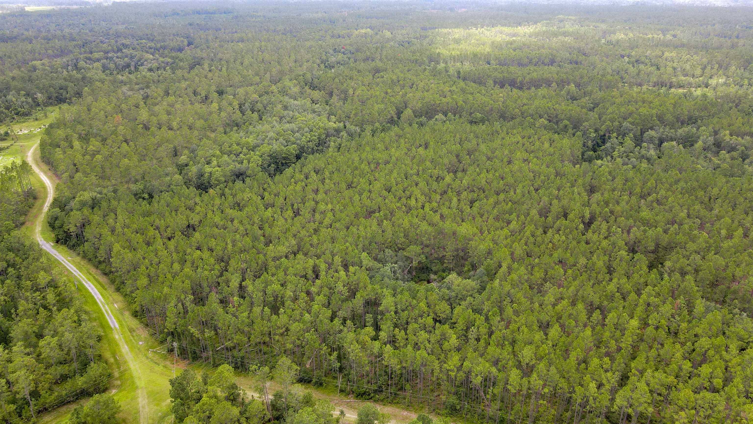 Greenville, FL 32331,Lot 121 SW Pacific Drive