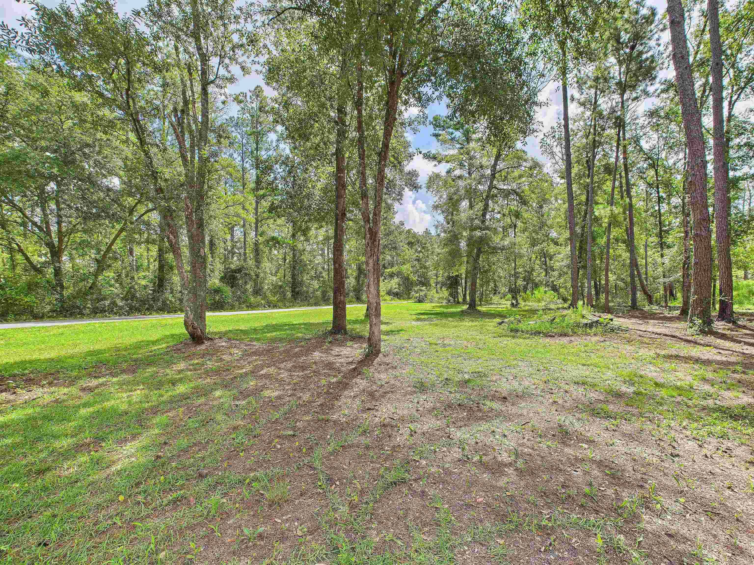 Madison County, FL 32331,2169 SW Wonderwood Street