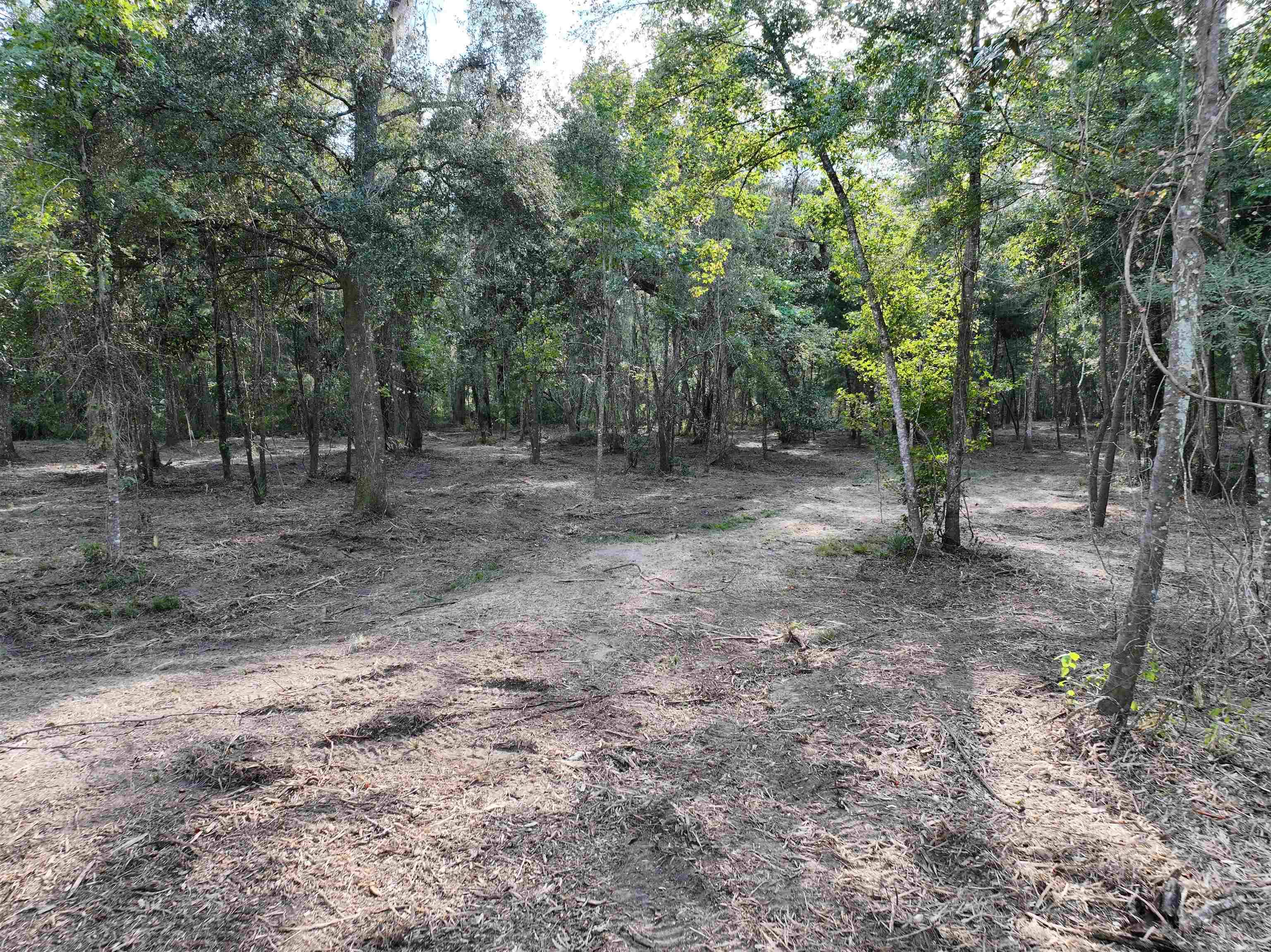 Greenville, FL 32331-4040,Lot 8 Sneads Drive