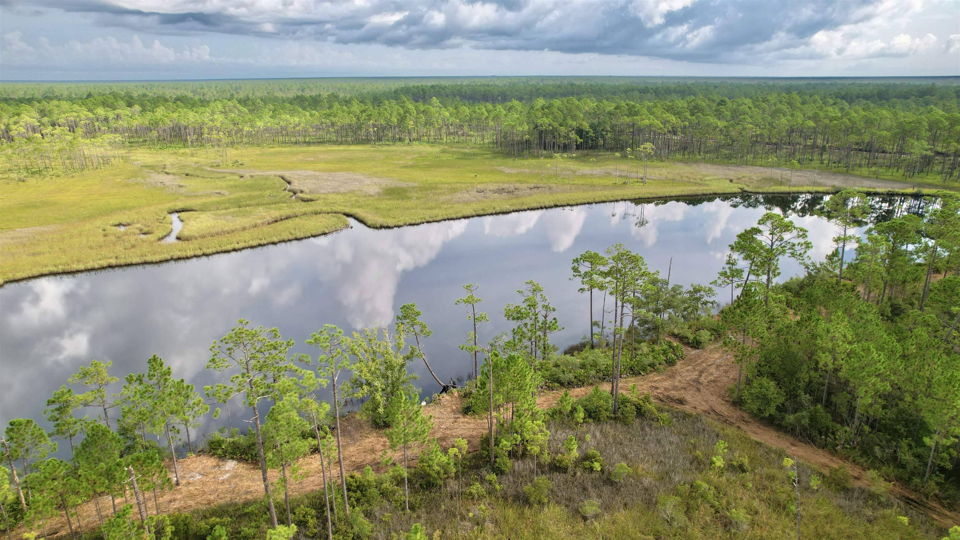 Carrabelle, FL 32322,XX Mill Road