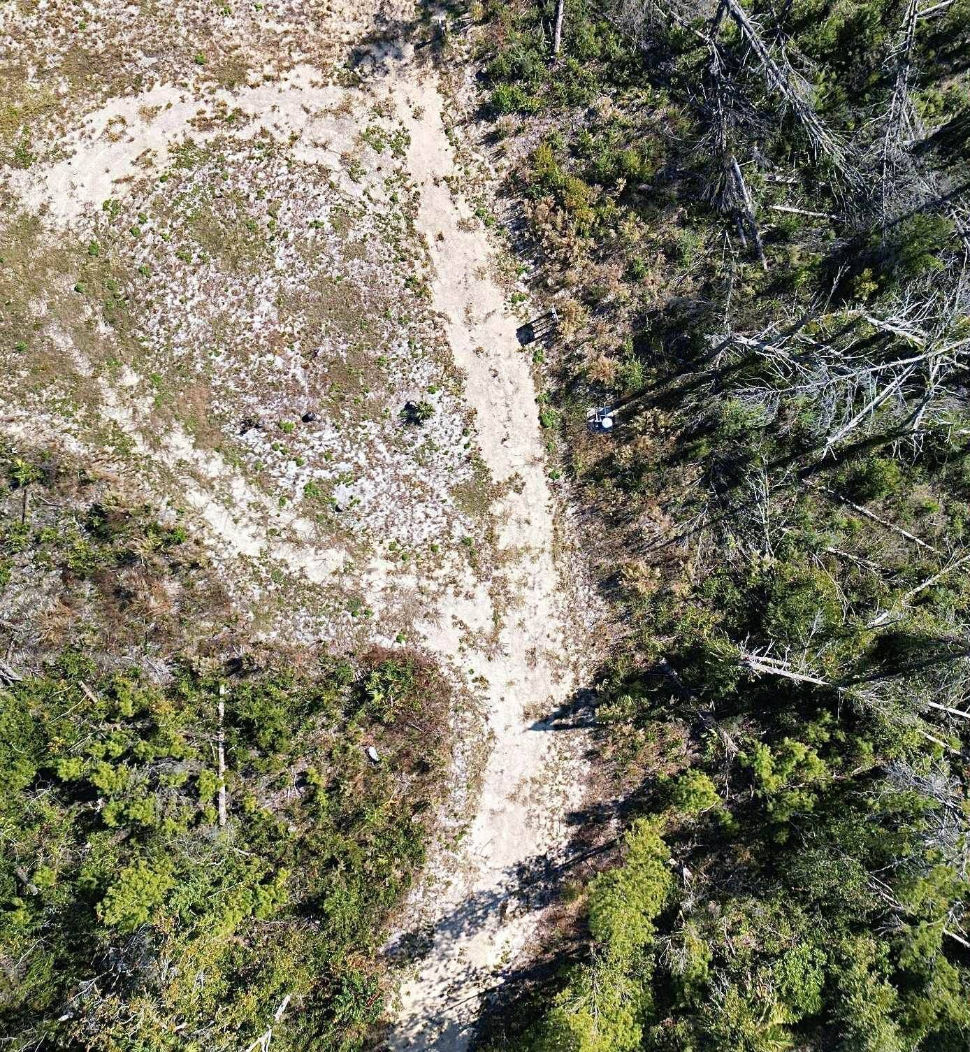 Perry, FL 32348,TBD Beach Road