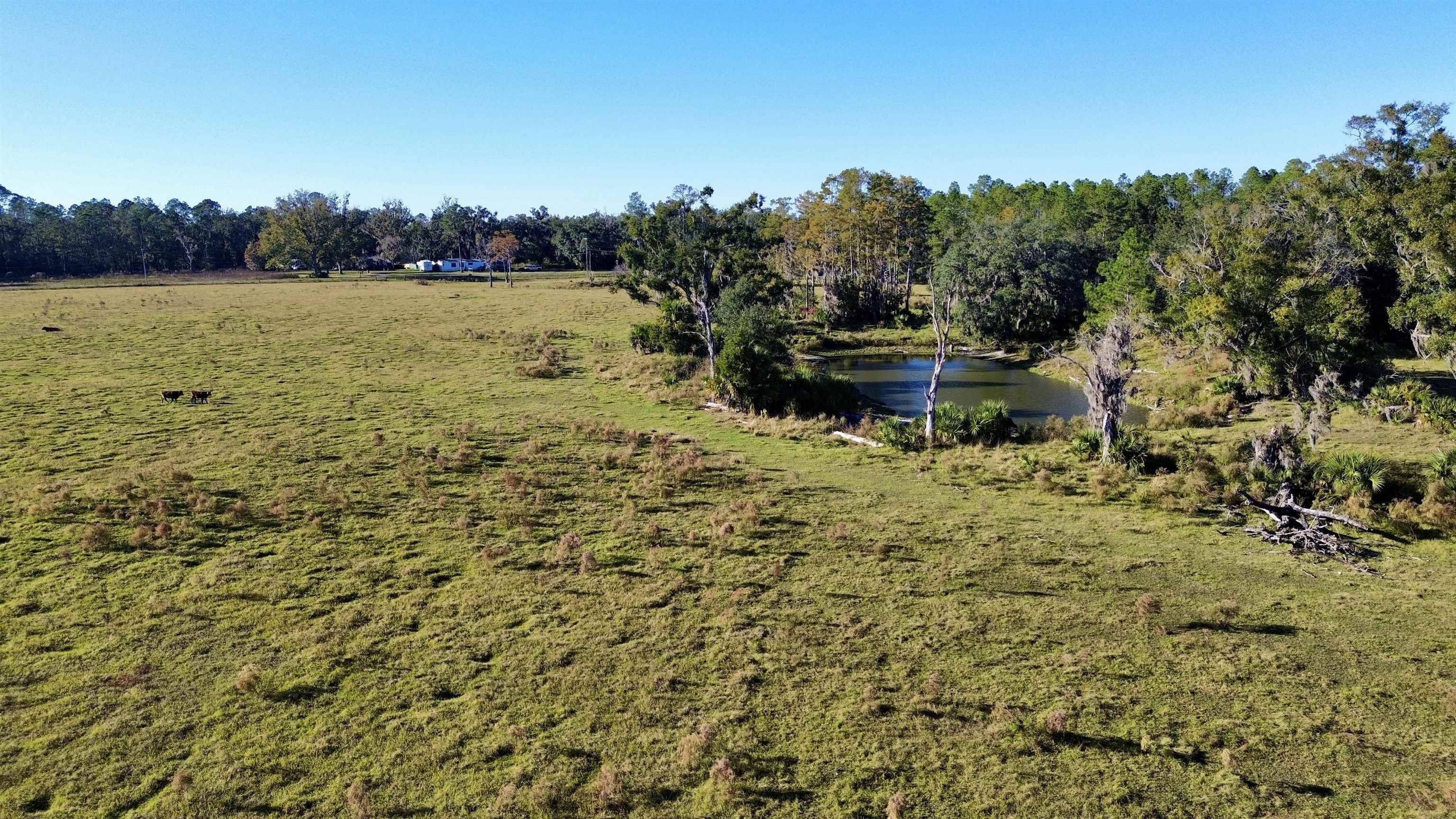 Perry, FL 32347,00 Woods Creek Road