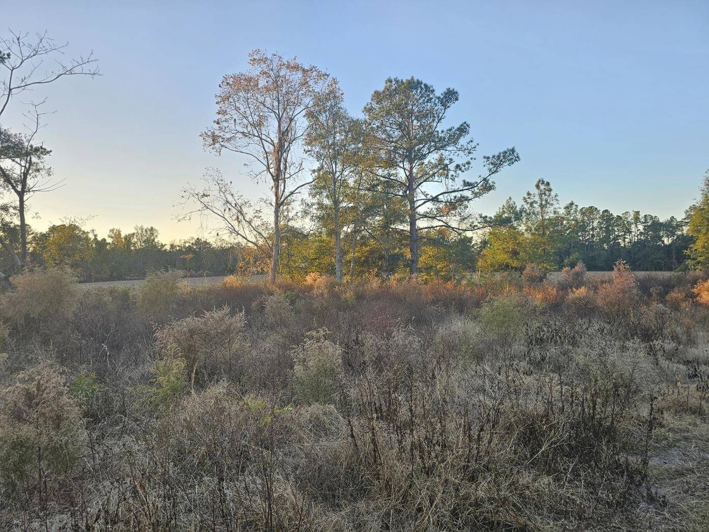 Madison County, FL 32340,241 NW Darwin Loop