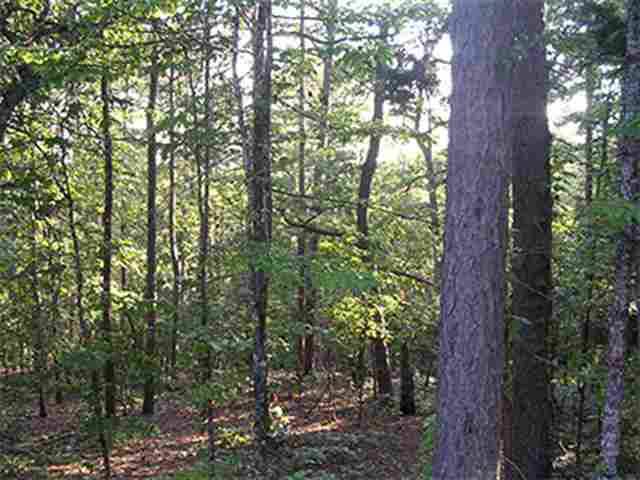 Hot Springs Village, AR 71909,20 Tamayo Way