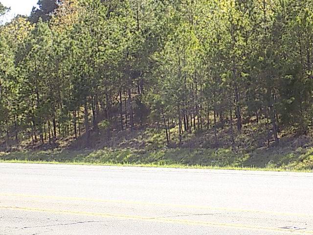 Greenbrier, AR 72058,Hwy 65
