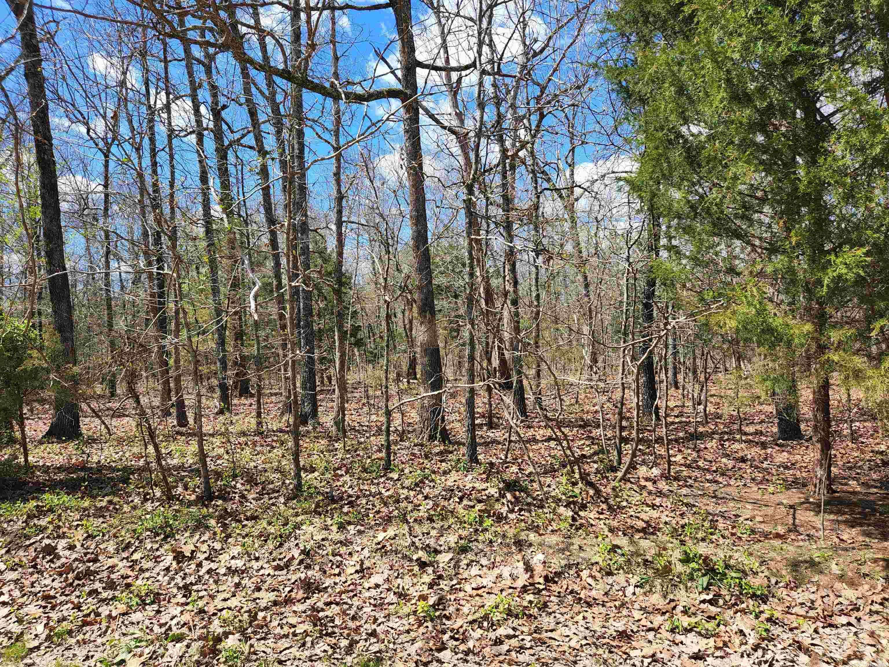 Ash Flat, AR 72513,Kirkwood Lane