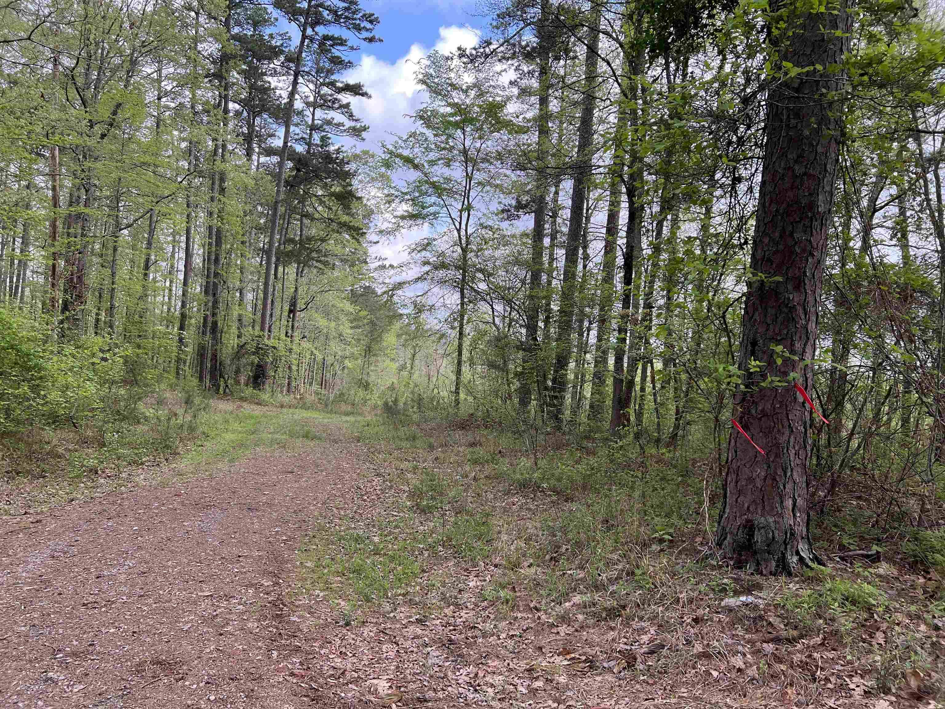 Bonnerdale, AR 71933,TBD E Old Bonnerdale Road