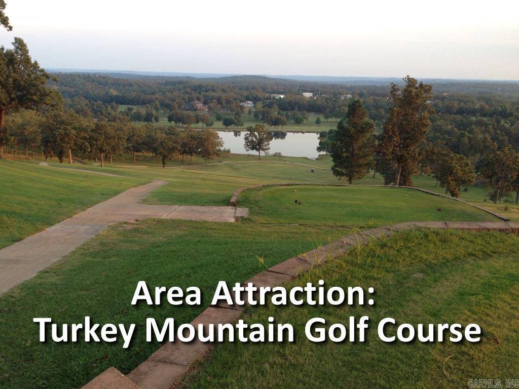 Horseshoe Bend, AR 72512,2418 Sterling Drive