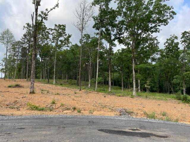 Conway, AR 72034,Orchard Hill Lot 11 Ph 3