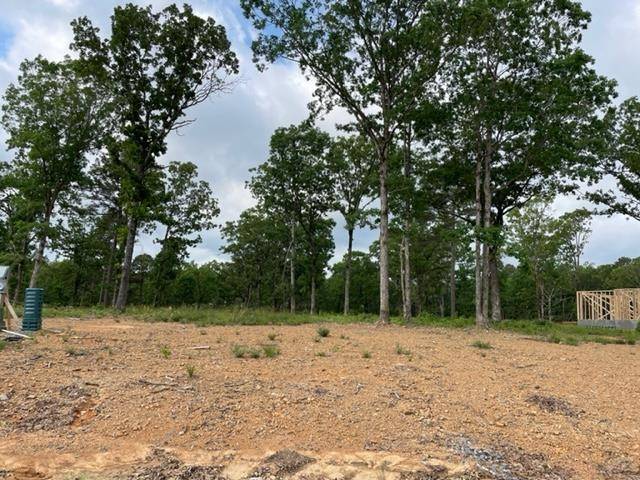 Conway, AR 72034,Orchard Hill Lot 8 Ph 3