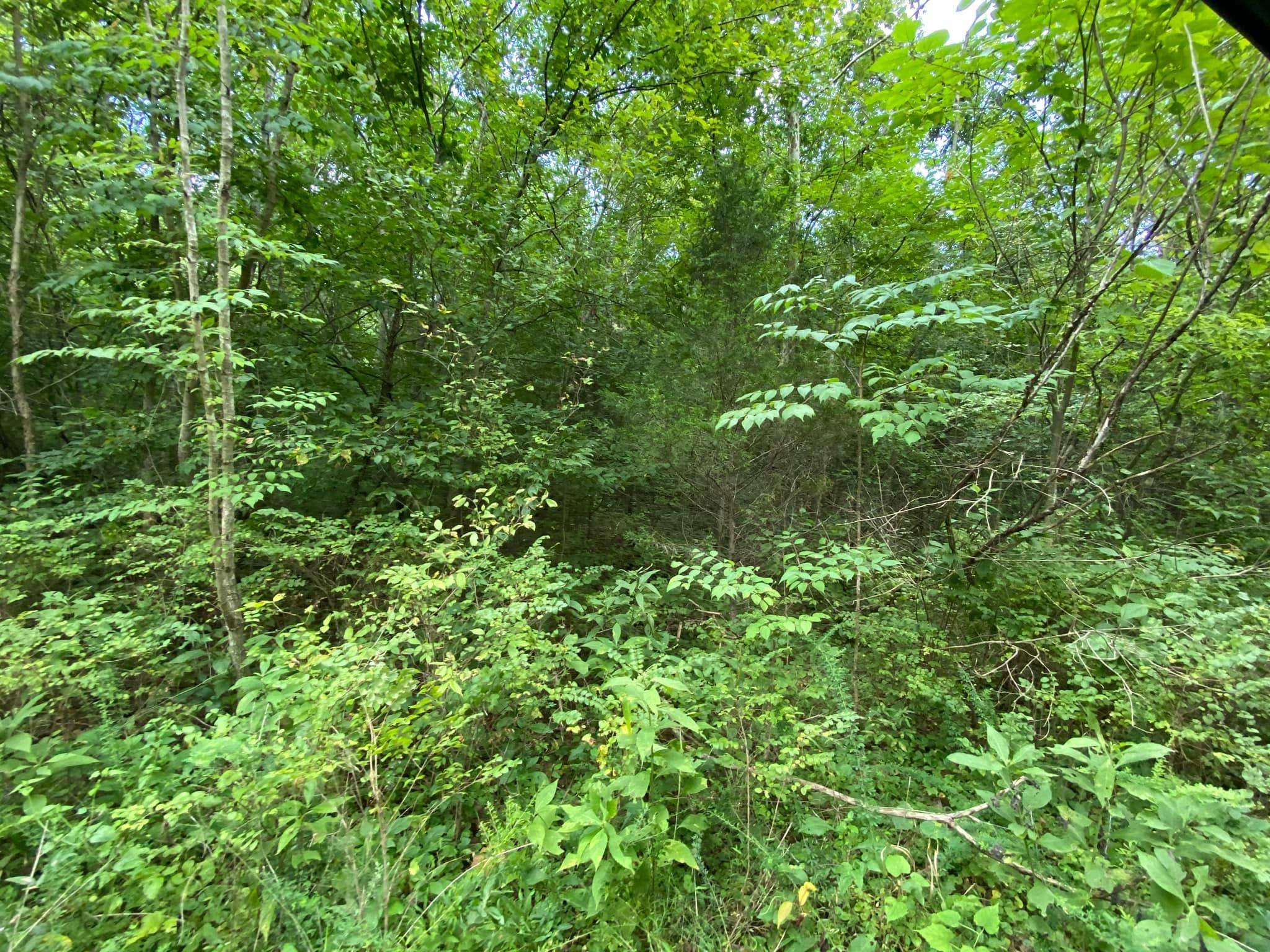 Guion, AR 72561,County Road 176 W highway 58