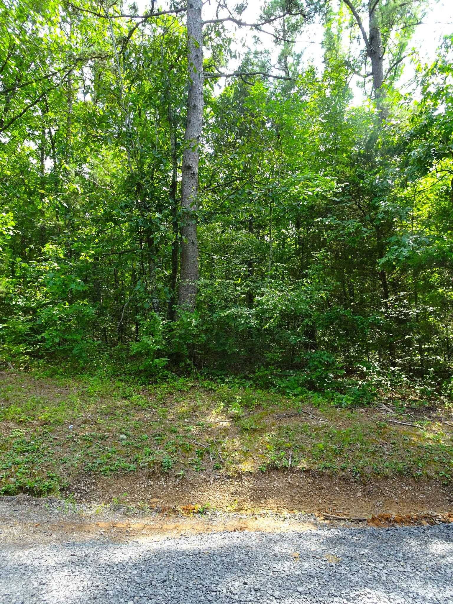 Heber Springs, AR 72543,000 Trout Drive